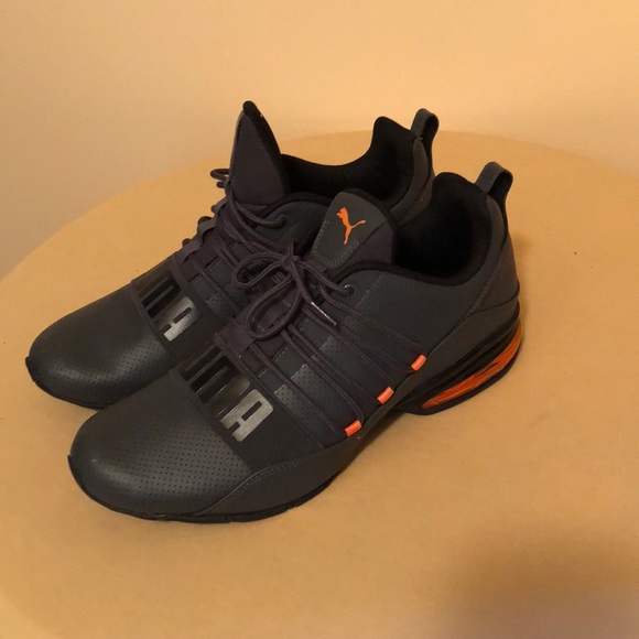 puma cell regulate puma cell regulate